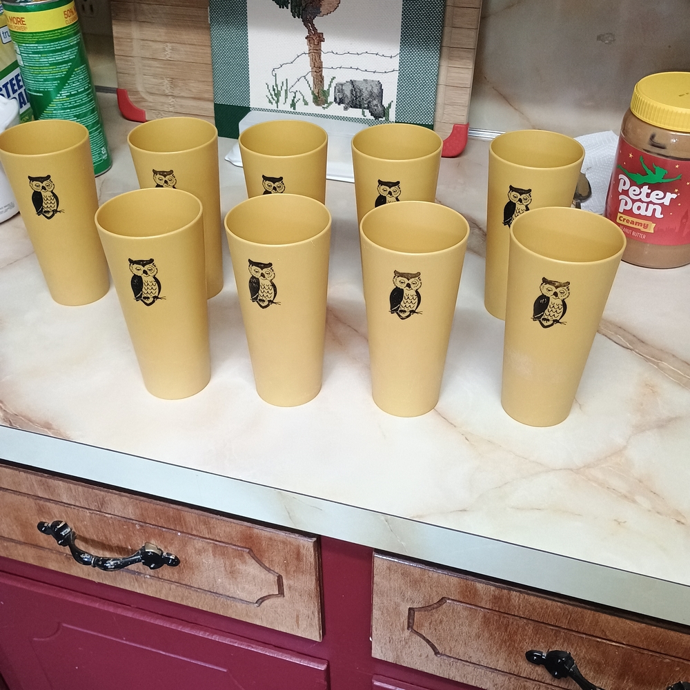 Charming Owl Print Yellow Tumblers Set